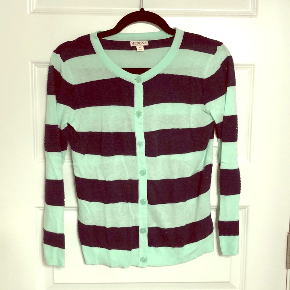 Aqua/Navy Sweater (Size Small- Petite)